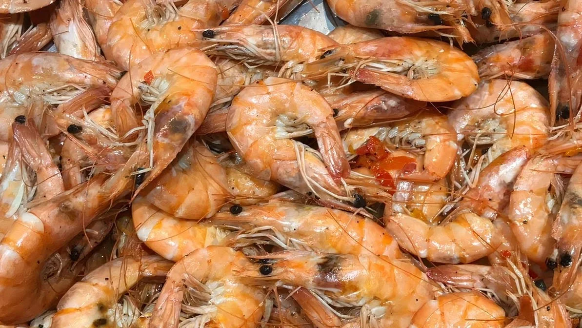 Pepper Shrimp